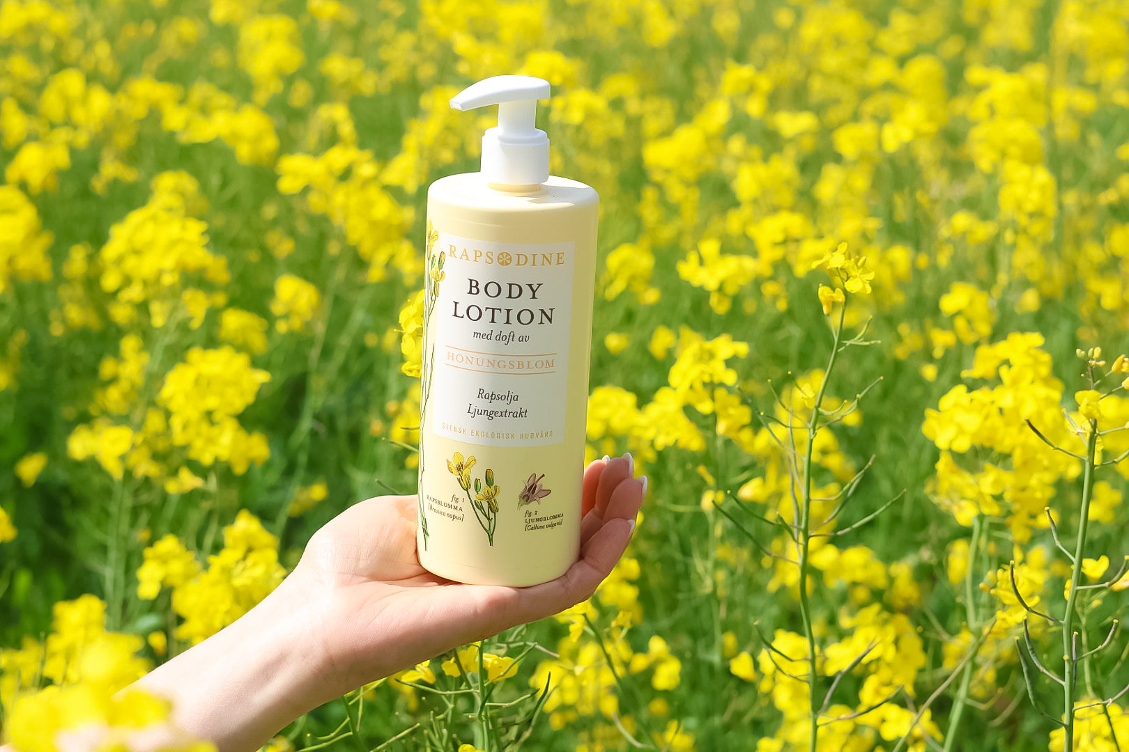 Bodylotion eller Fuktighetskräm – vad är skillnaden?