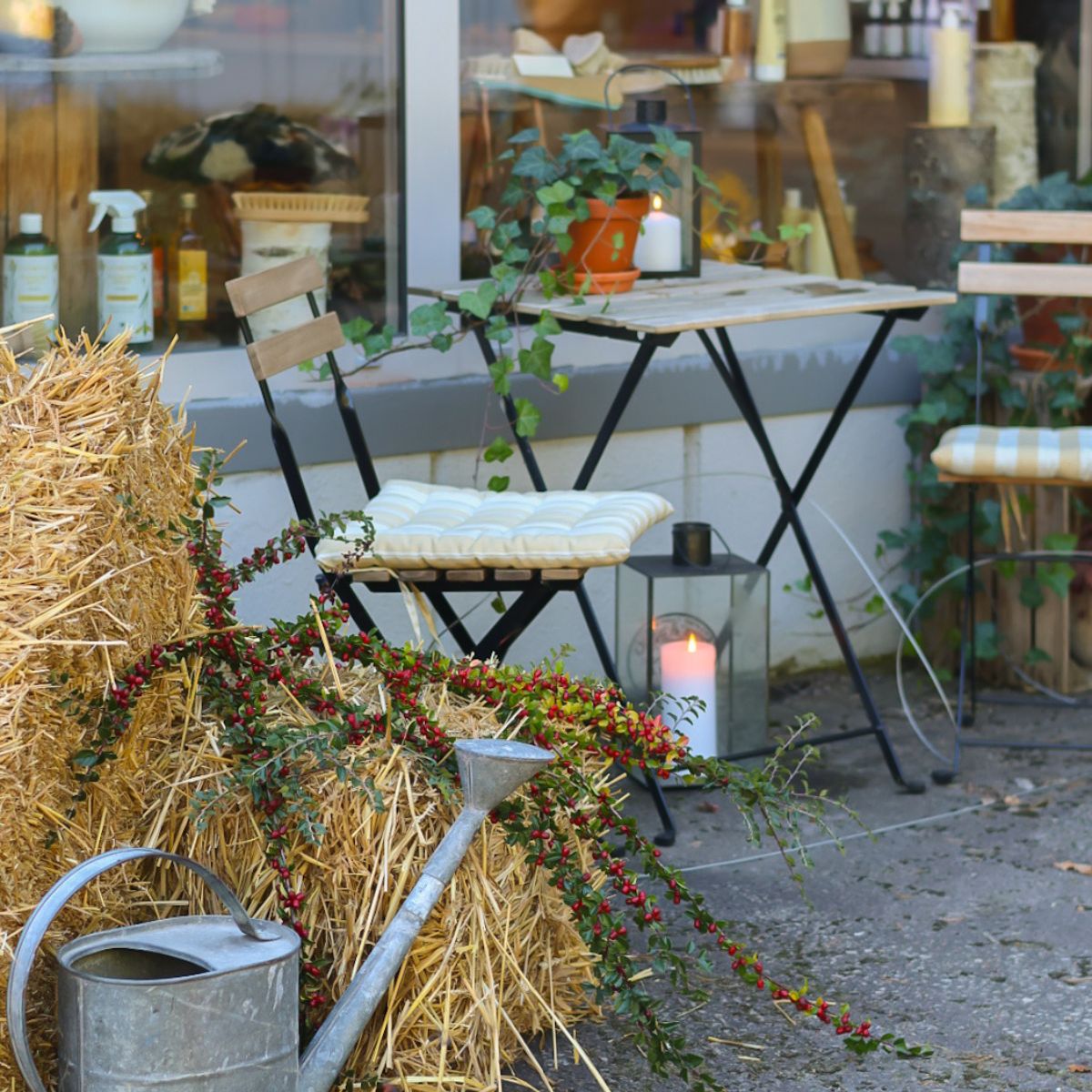 Besök Rapsodine i Mariestad – lokal produktion av hudvård