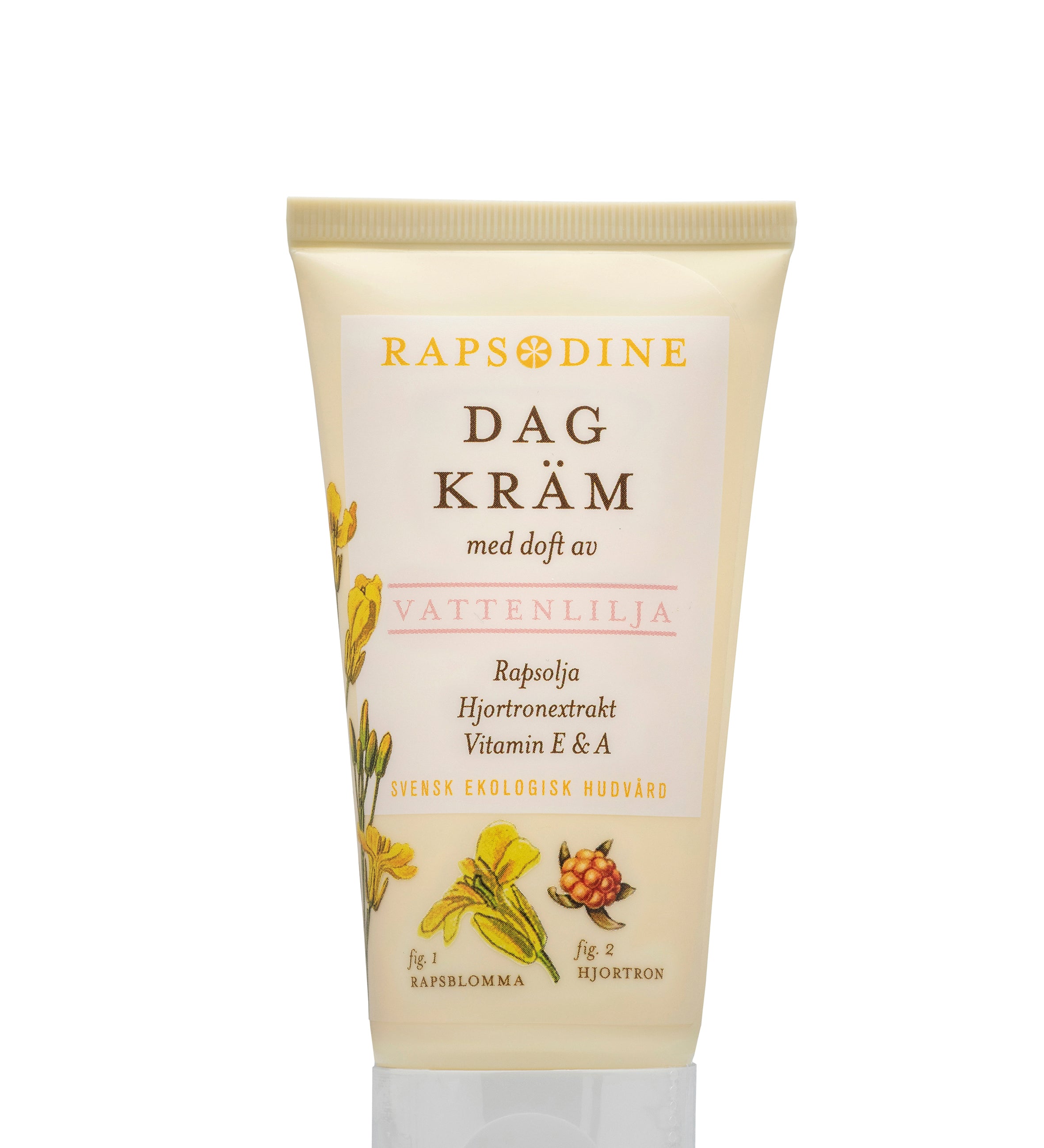Svensk, ekologisk och vegansk dagkräm, 50 ml från Rapsodine
