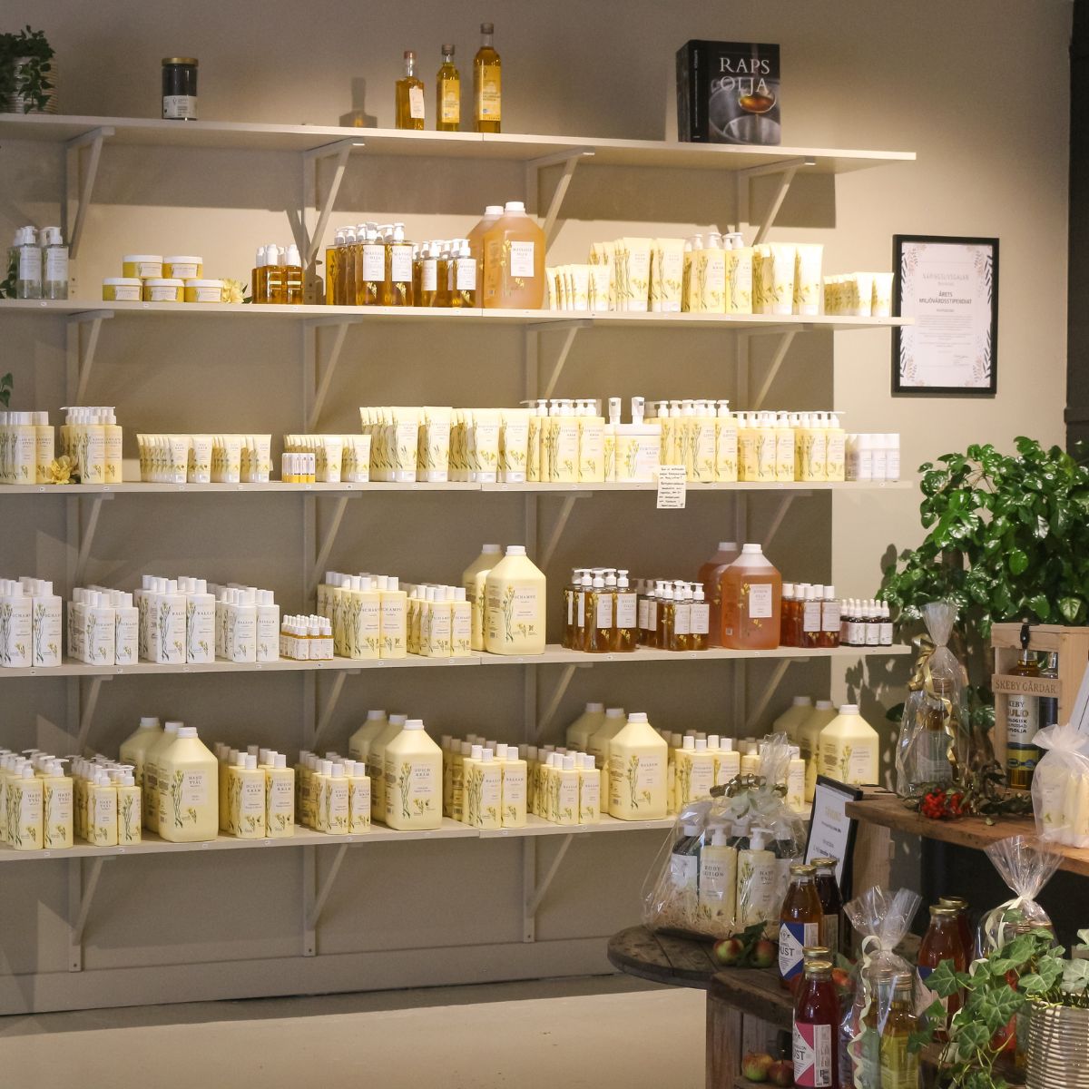 Butikshylla med fullt sortiment av ekologiska produkter från Rapsodine, hudvård, hårvård och matolja i butiksmiljö