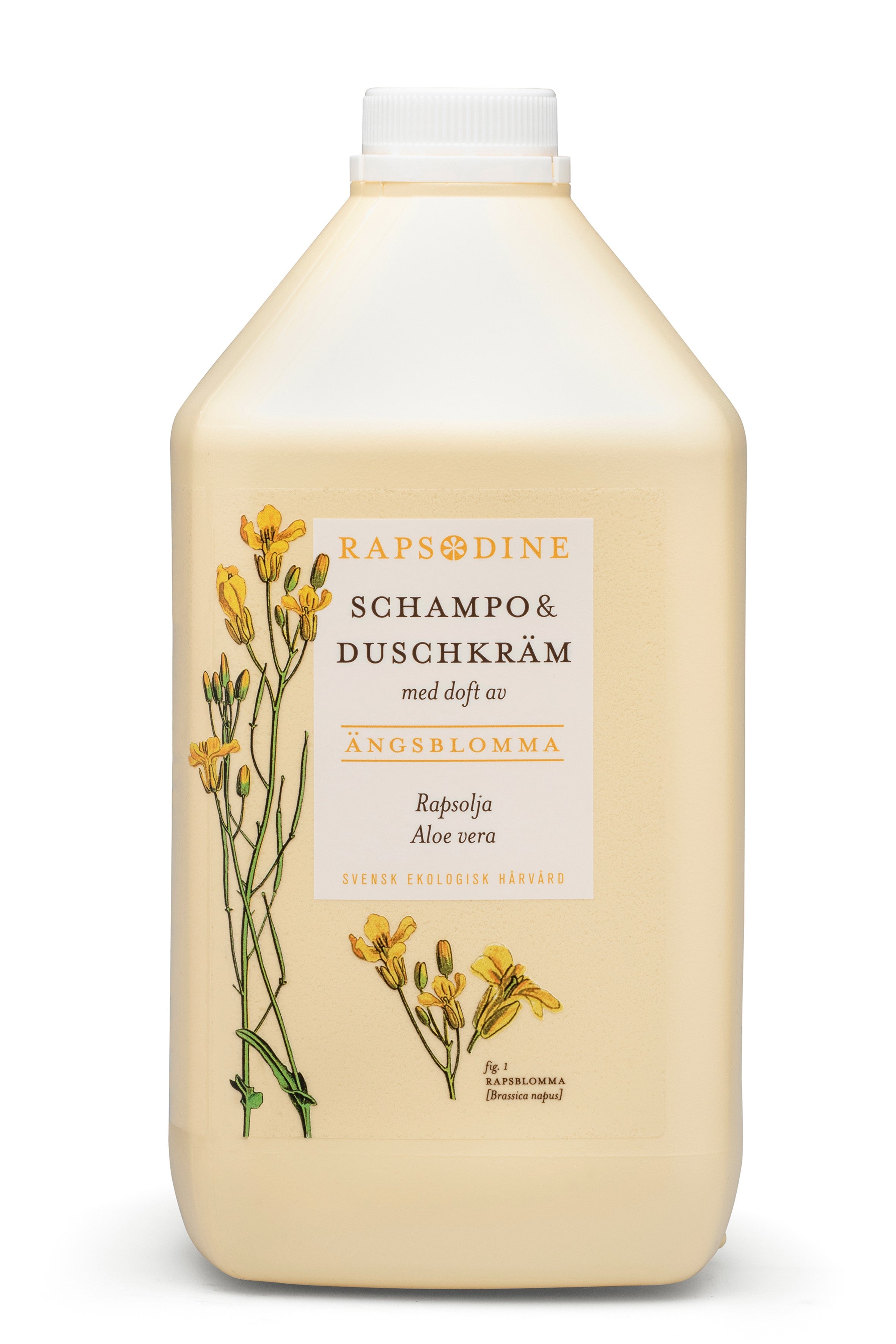 Schampo &amp; Duschkräm, 2,5 liter från Rapsodine