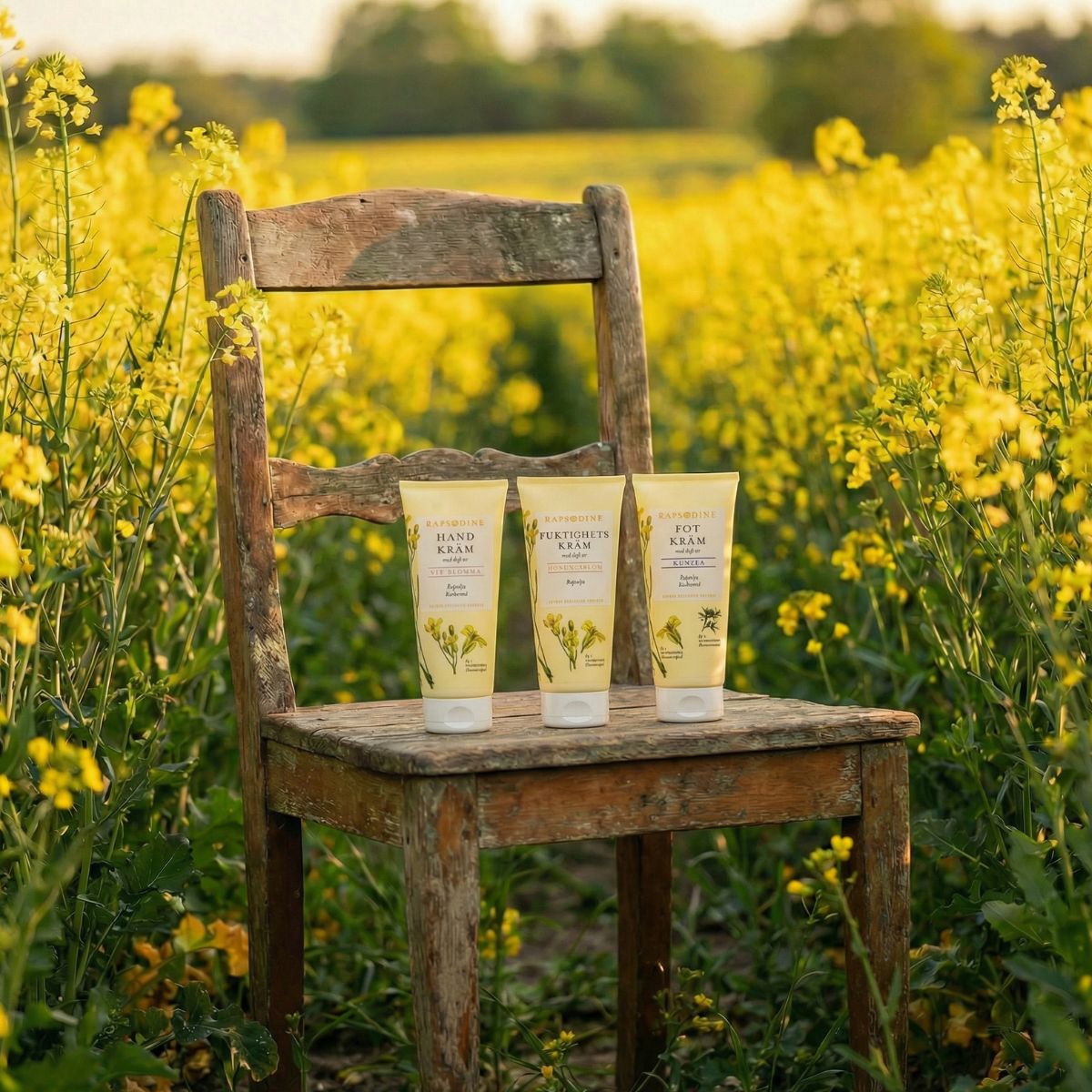 Ekologisk handkräm, fuktighetskräm och fotkräm från Rapsodine med rapsolja, naturlig hudvård i blommande rapsfält